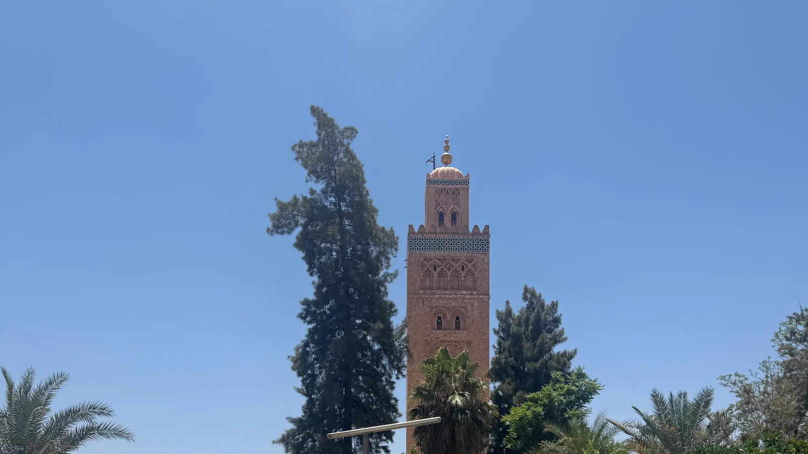 Le minaret de la Koutoubia entre un grand conifère et des palmiers, au-dessus des arbres du jardin, sous un ciel sans nuage
