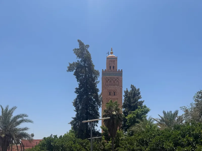 Le minaret de la Koutoubia entre un grand conifère et des palmiers, au-dessus des arbres du jardin, sous un ciel sans nuage