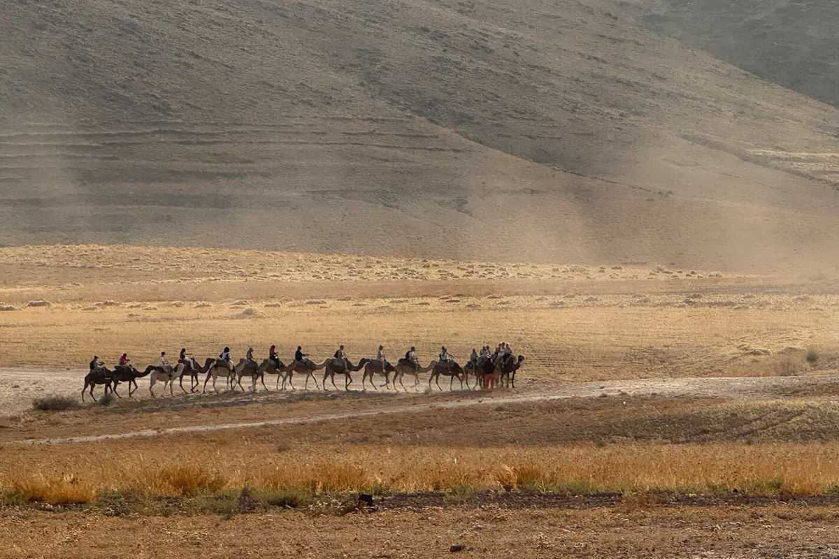 Plus d'une dizaine de dromadaires montés traversent la plaine dans la poussière, au pied d'une colline nue du désert d'Agafay (juin 2026)