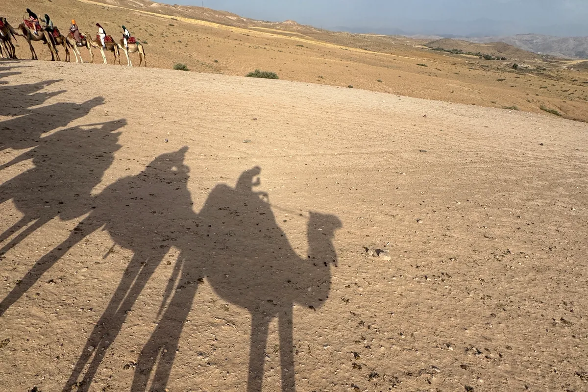 The long shadows of camels and their riders on the stony ground; at the top, the rest of the caravan moves along in single file (June 2026)
