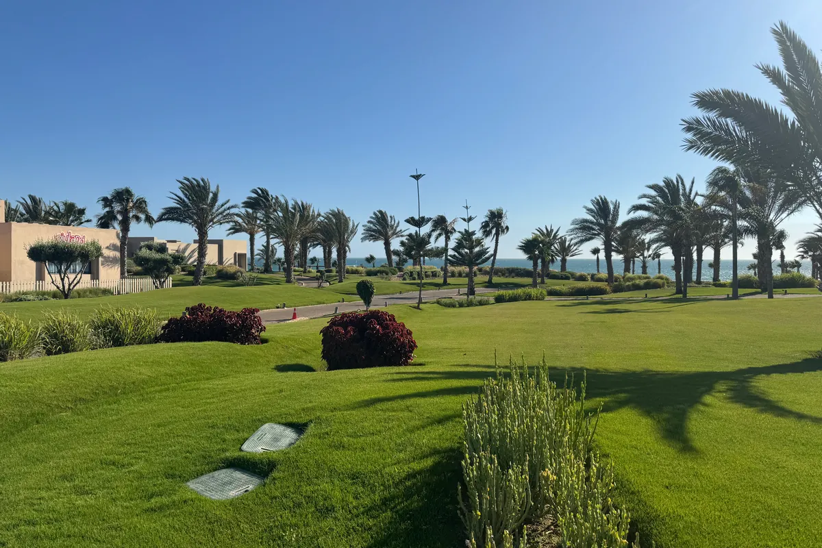 El césped ondulado y las palmeras de los jardines del hotel, con el océano a lo lejos (mayo de 2026)