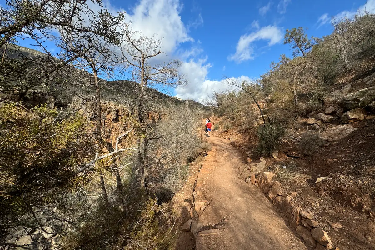 Le sentier au-dessus des gorges de roche rouge, entre des arbres secs (octobre 2024)