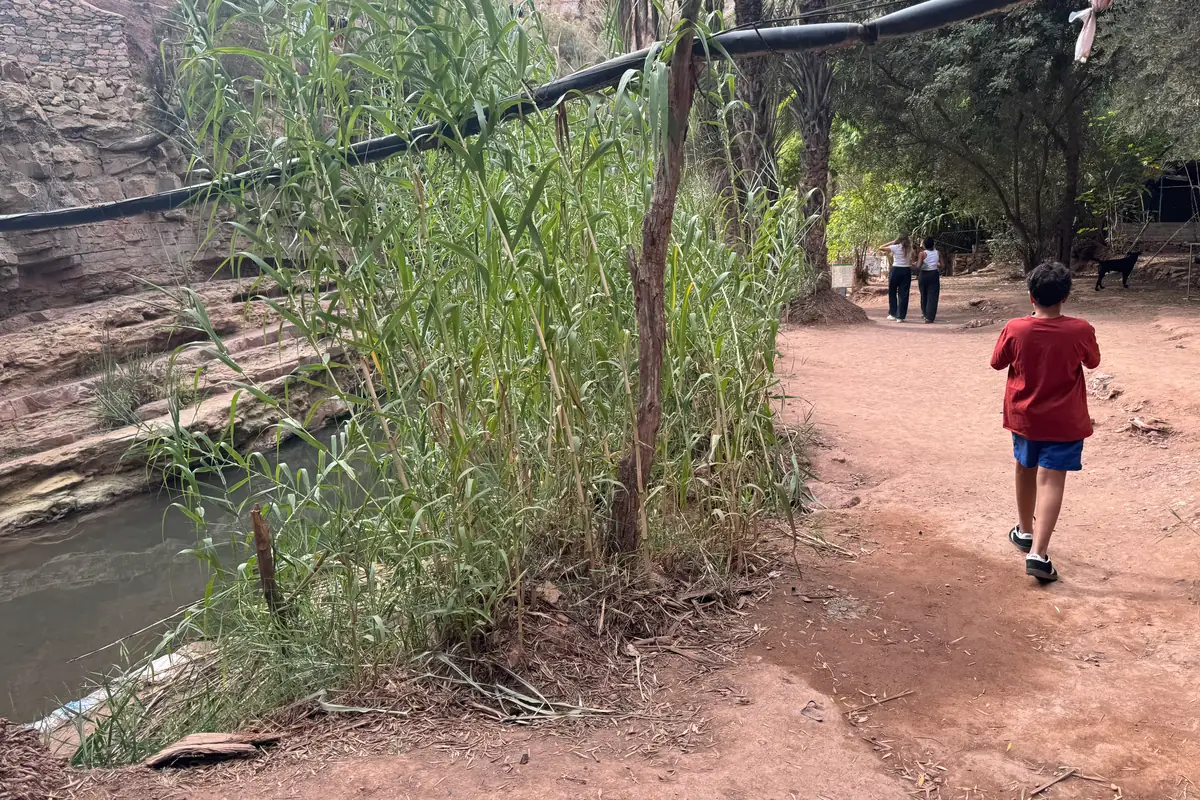 Un des enfants ouvre la marche sur le sentier, le long de l'oued (octobre 2024)